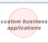 custom business applications